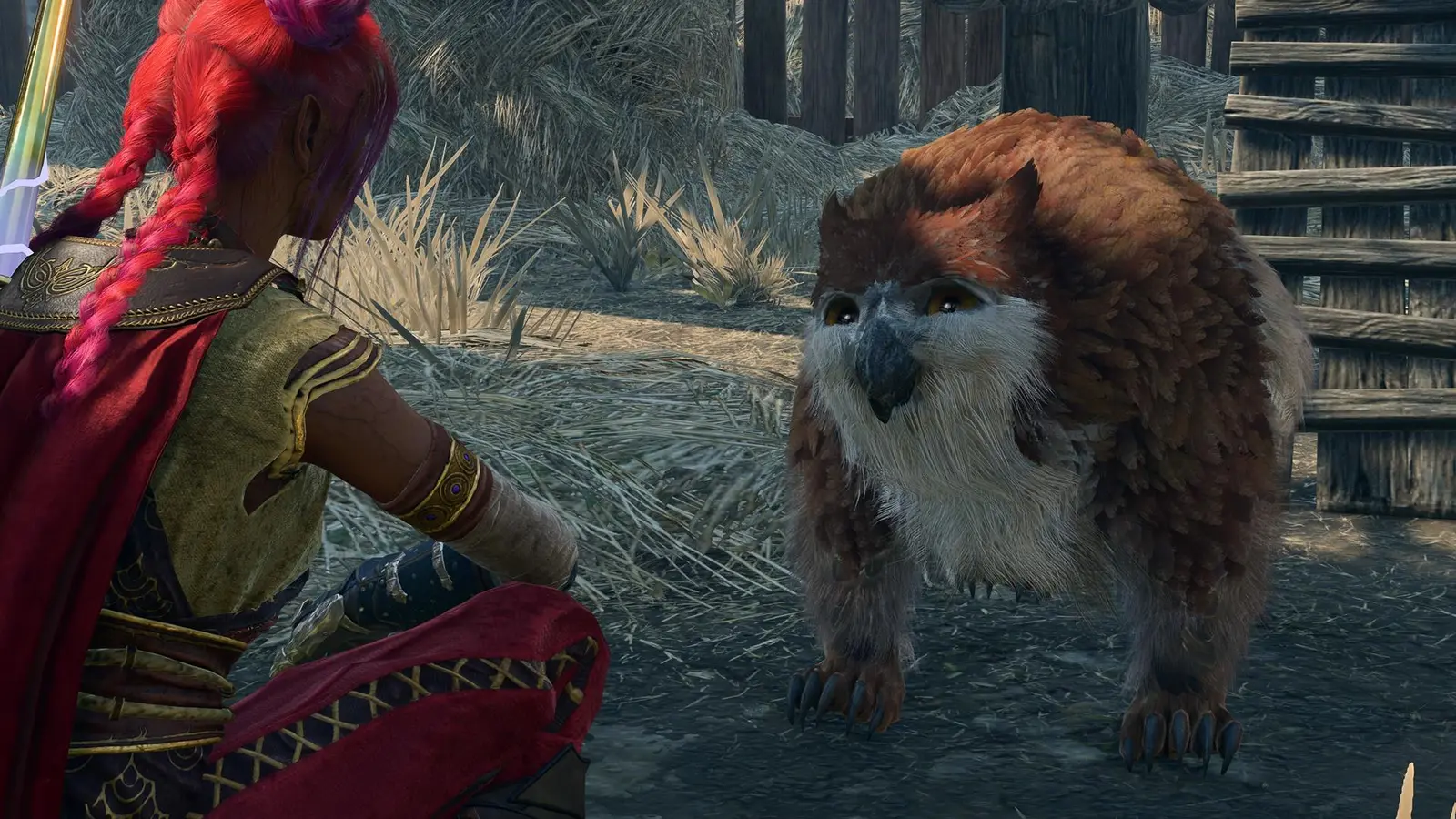 The player attempts to interact with an Owlbear Cub.